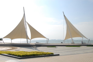 七年级下科学作业本A.B答案（浙江教育版）