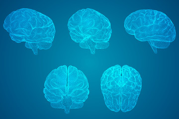 人们有哪些保护自然环境的例子