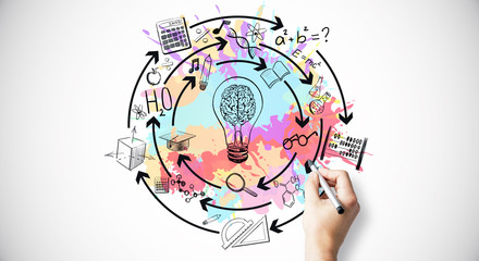 三年级科学植物有哪些相同的特点教案