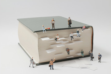 南山植物园开放时间是什么时候