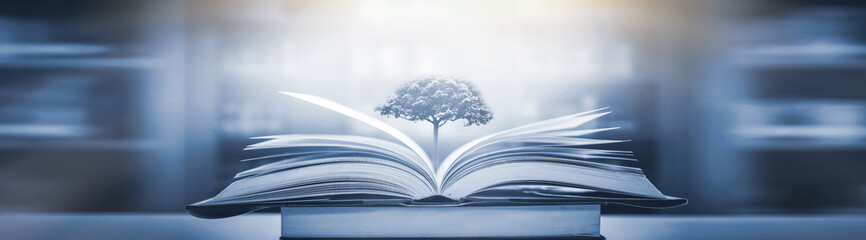 三年级科学植物有哪些相同的特点教案