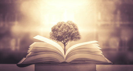 女生性格软弱表现