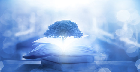 女生性格软弱表现