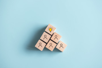 内蒙古海水稻种植