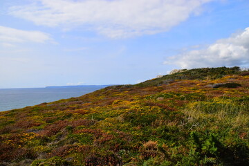 介绍一个最具历史价值的地方