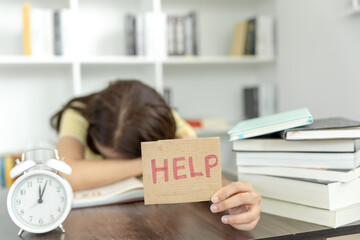 人教版小学科学四年级下册教学计划