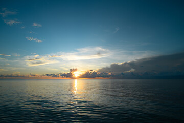 三年级科学植物有哪些相同的特点教案