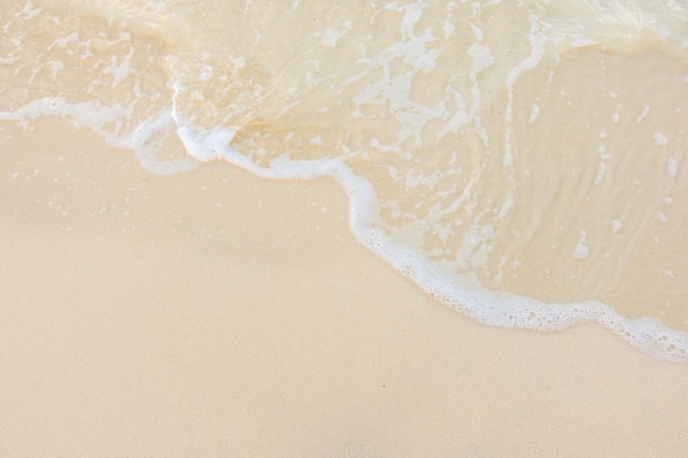 七夕情人节活动策划案