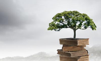 人教版小学科学四年级下册教学计划