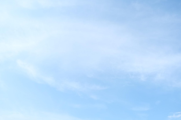 七年级下科学作业本A.B答案（浙江教育版）