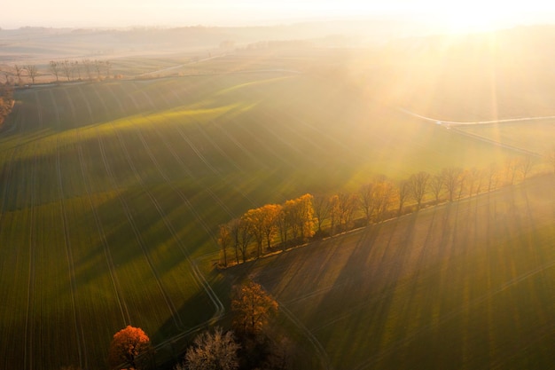 人们有哪些保护自然环境的例子